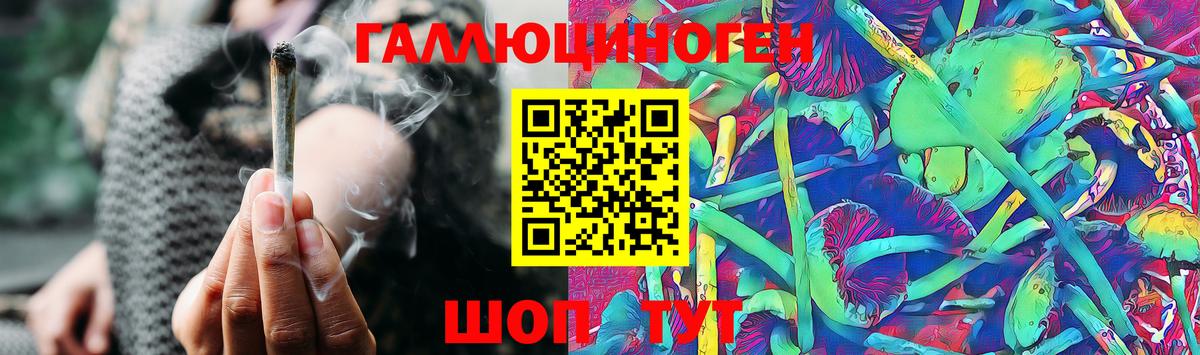 Псилоцибиновые грибы MAGIC MUSHROOMS Черняховск