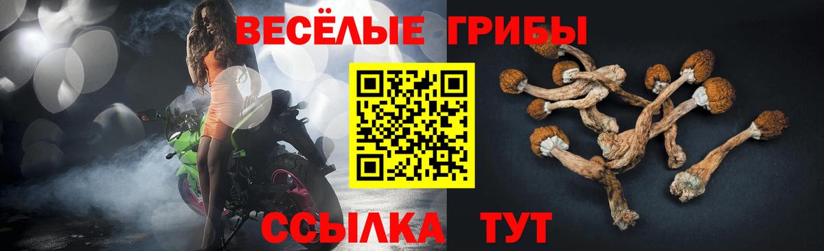 Галлюциногенные грибы GOLDEN TEACHER  Вход с VPN  купить наркоту  Черняховск 